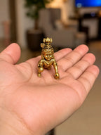 bal-krishna-palm