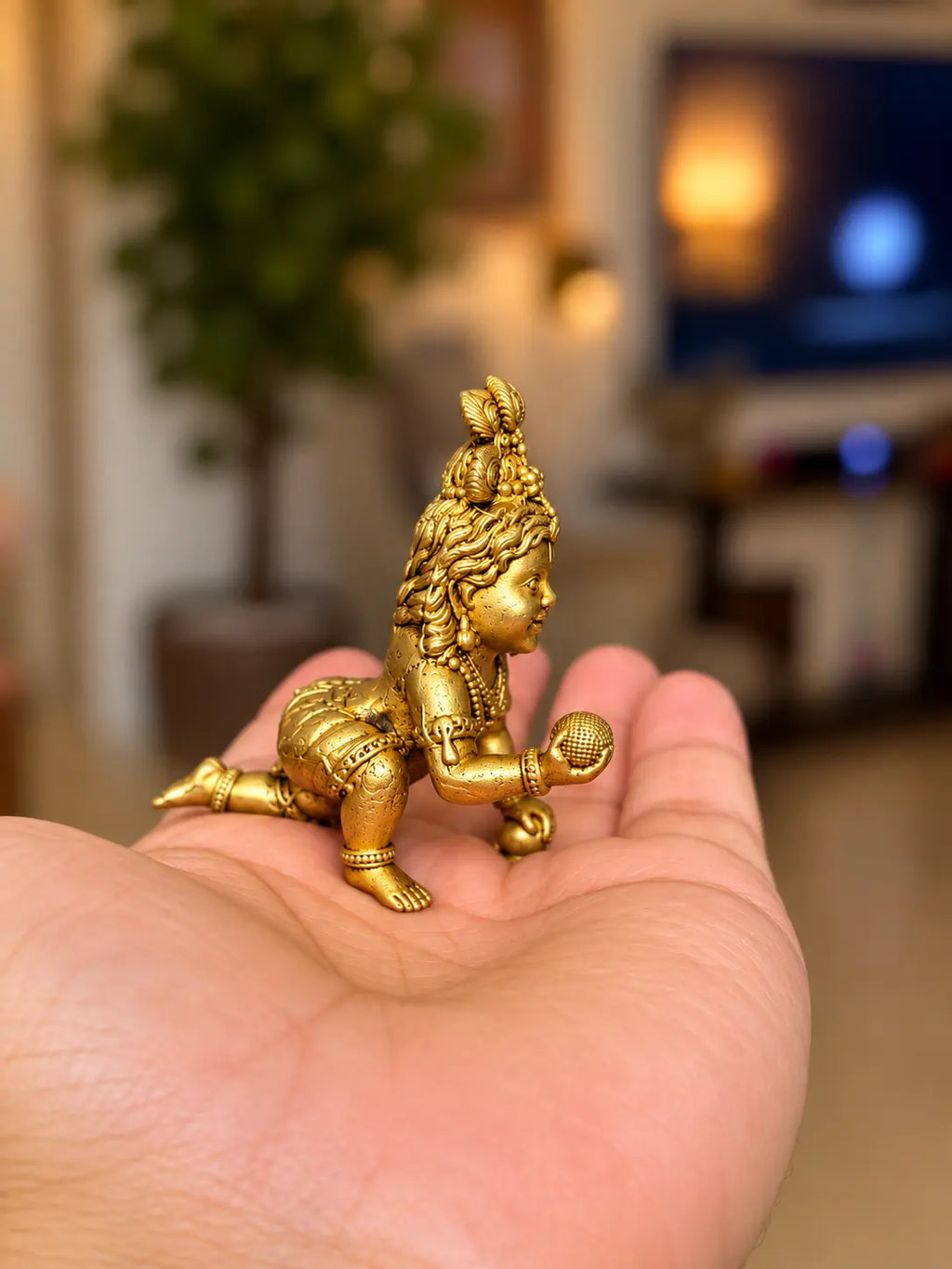bal-krishna3-side-palm