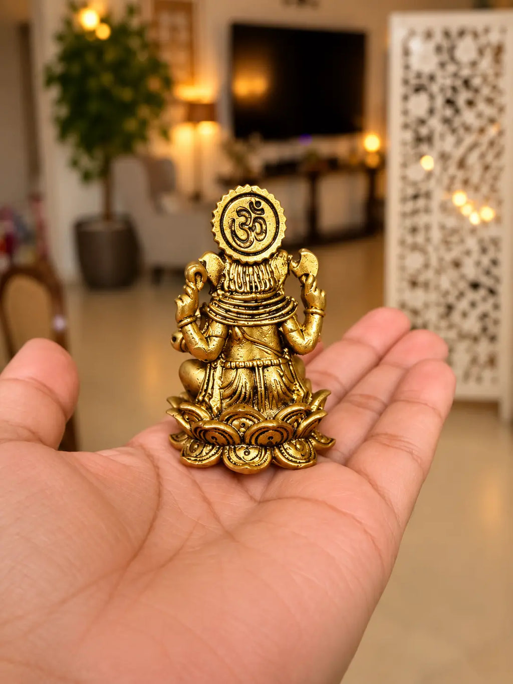 ganesha back