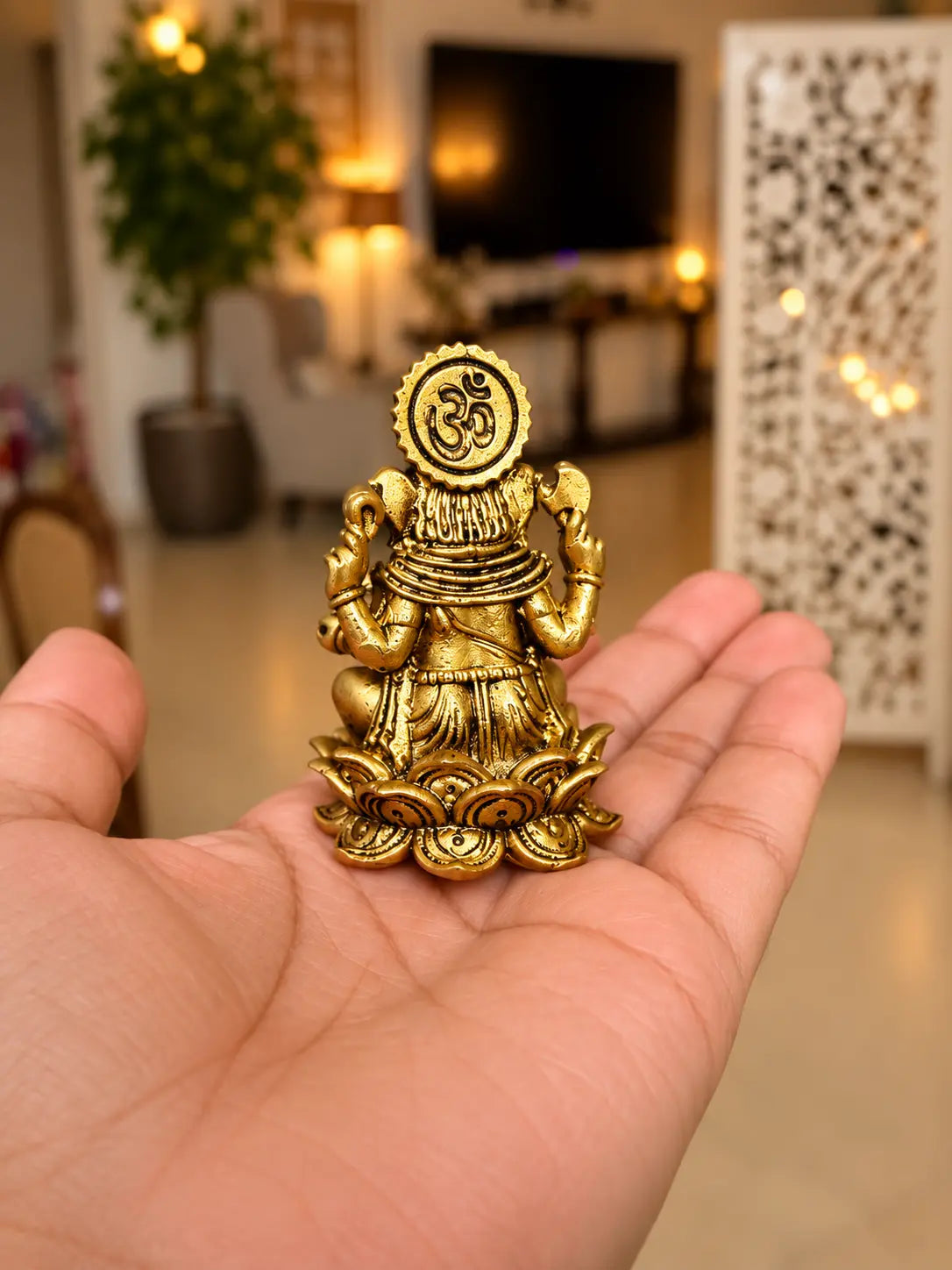 ganesha back