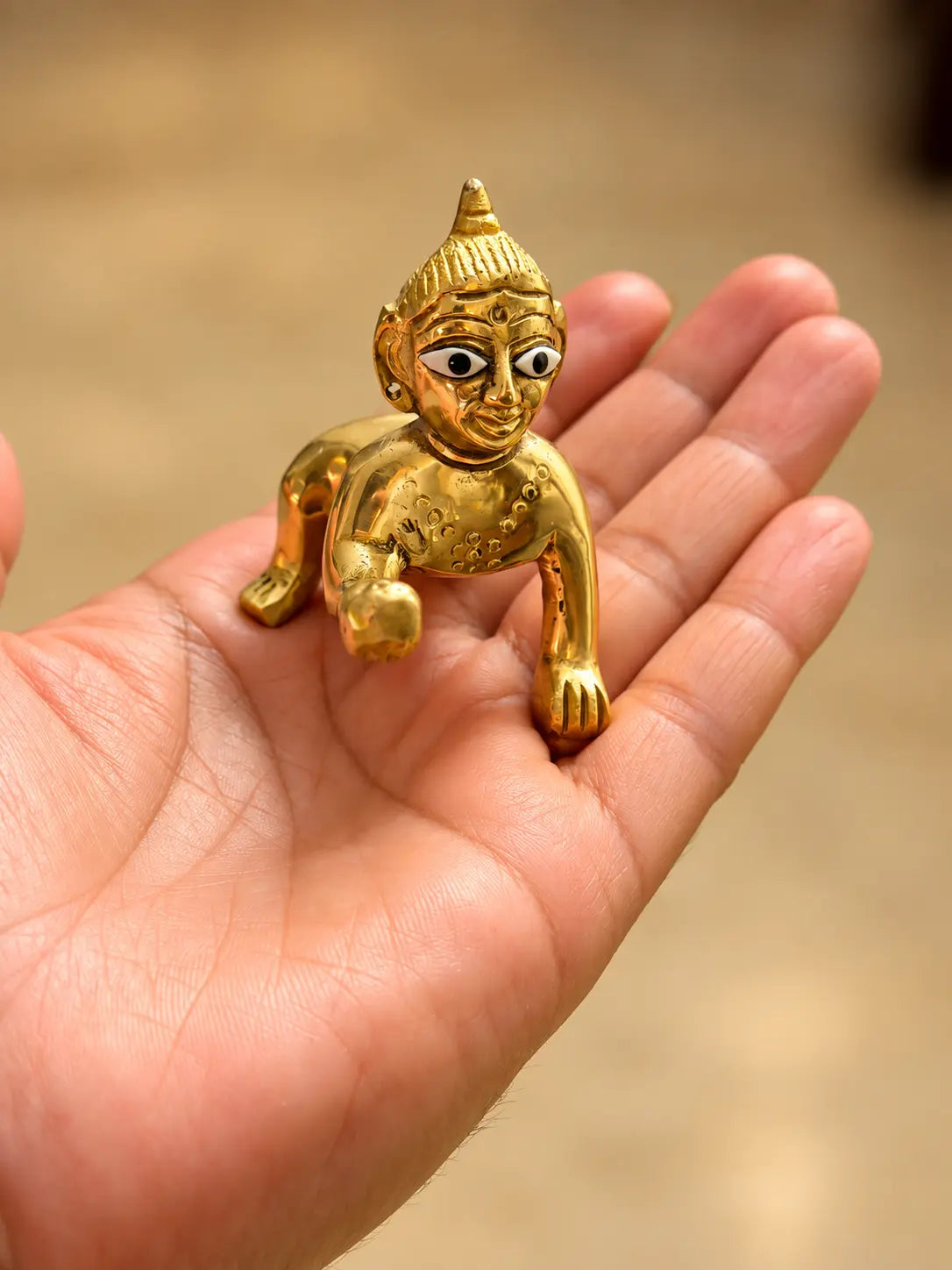 Laddu Gopal in hand