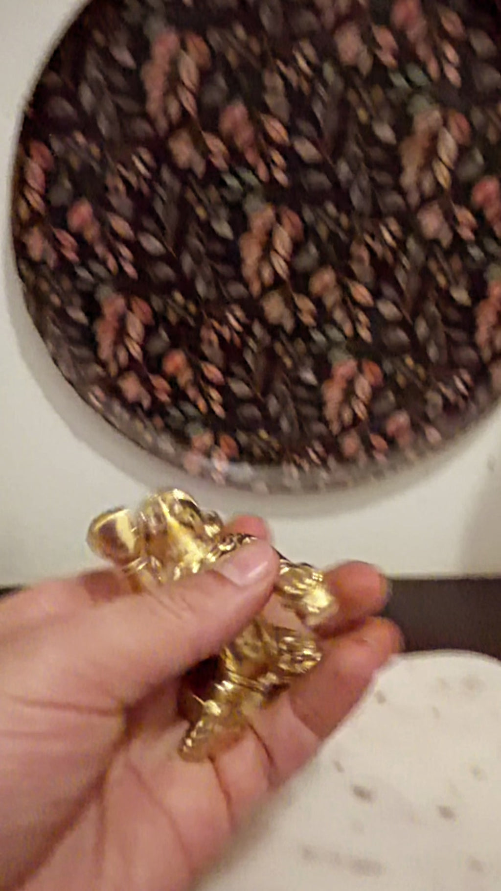 Laddu Gopal in hand