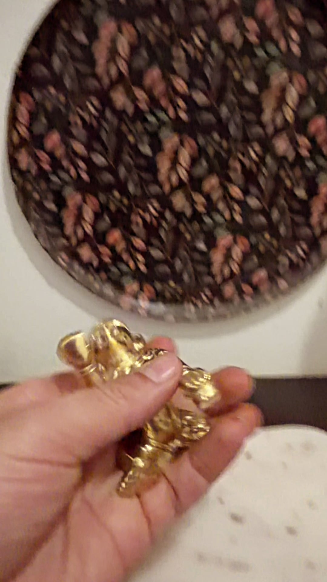 Laddu Gopal in hand